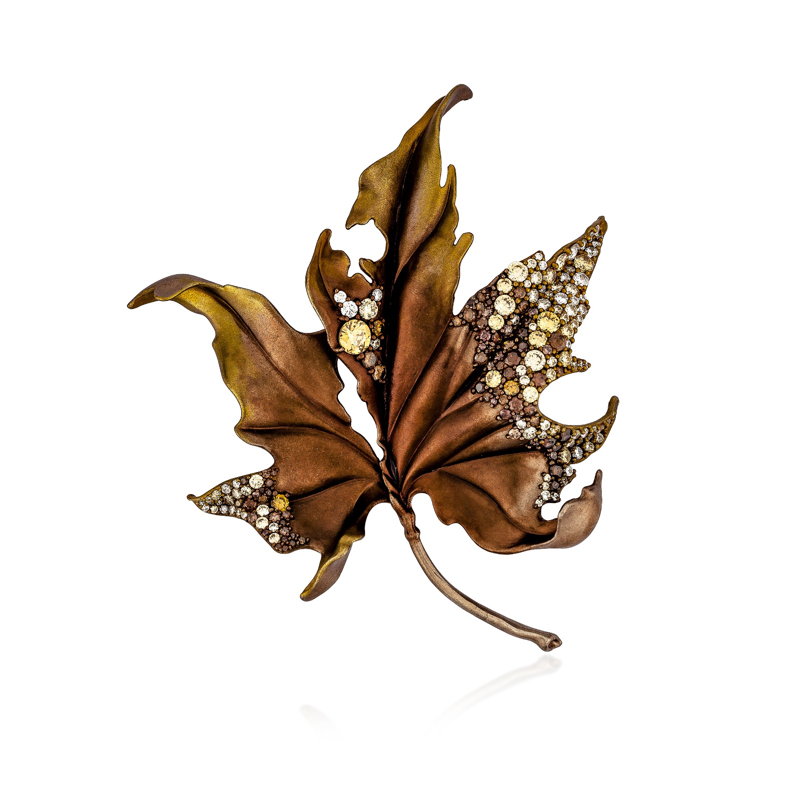 图片_20251118193059_119_25